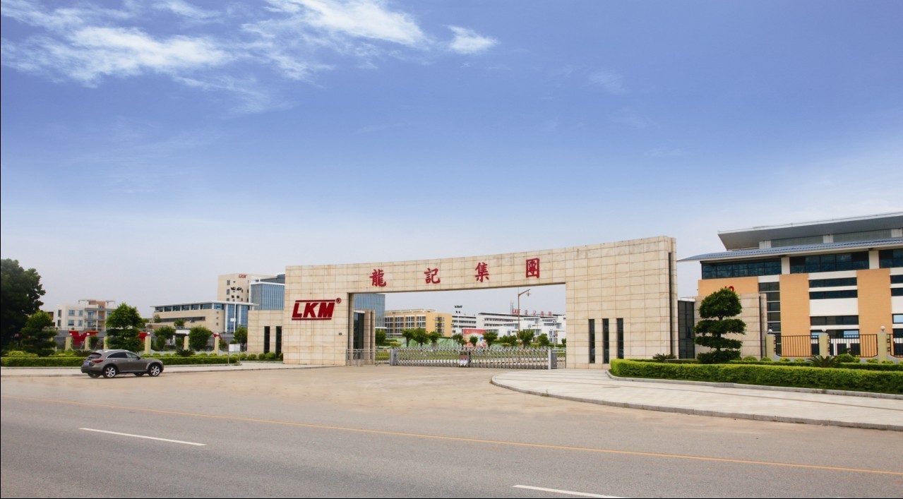 河源市龙记集团